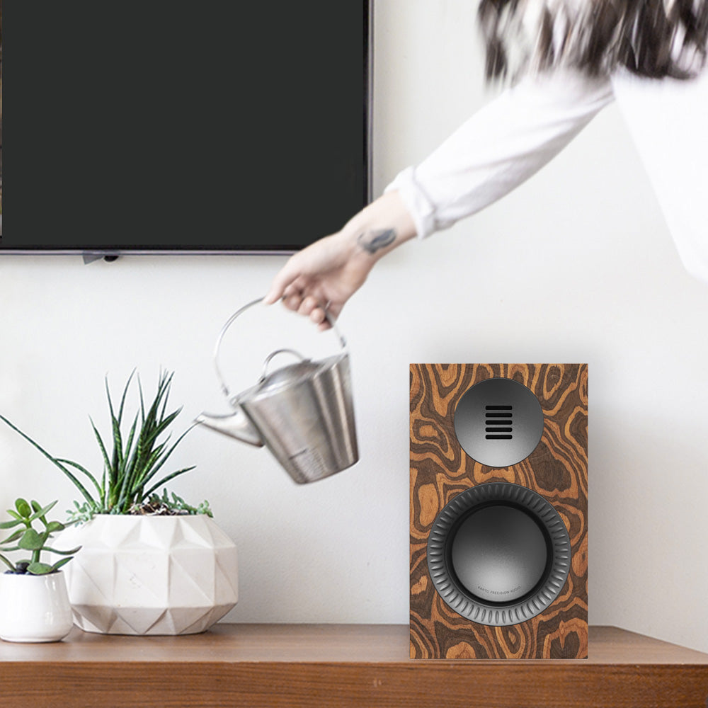 Kanto TUK (2nd Gen) 260W Powered Speaker System with Bluetooth 5.4, Dual RCA & USB-C Inputs - Burl with Gunmetal