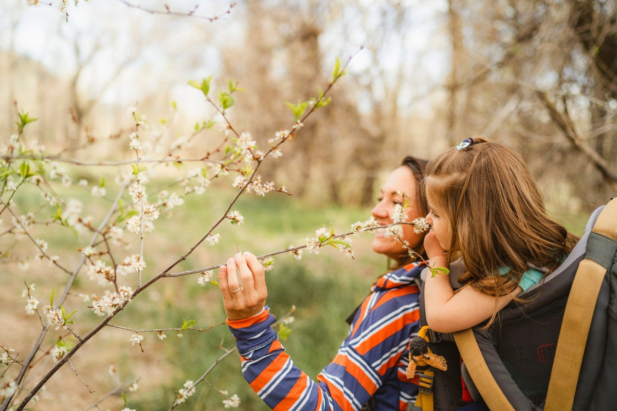 KELTY Journey PerfectFit Elite Child Carrier - Insignia Blue (26L Hiking Backpack)