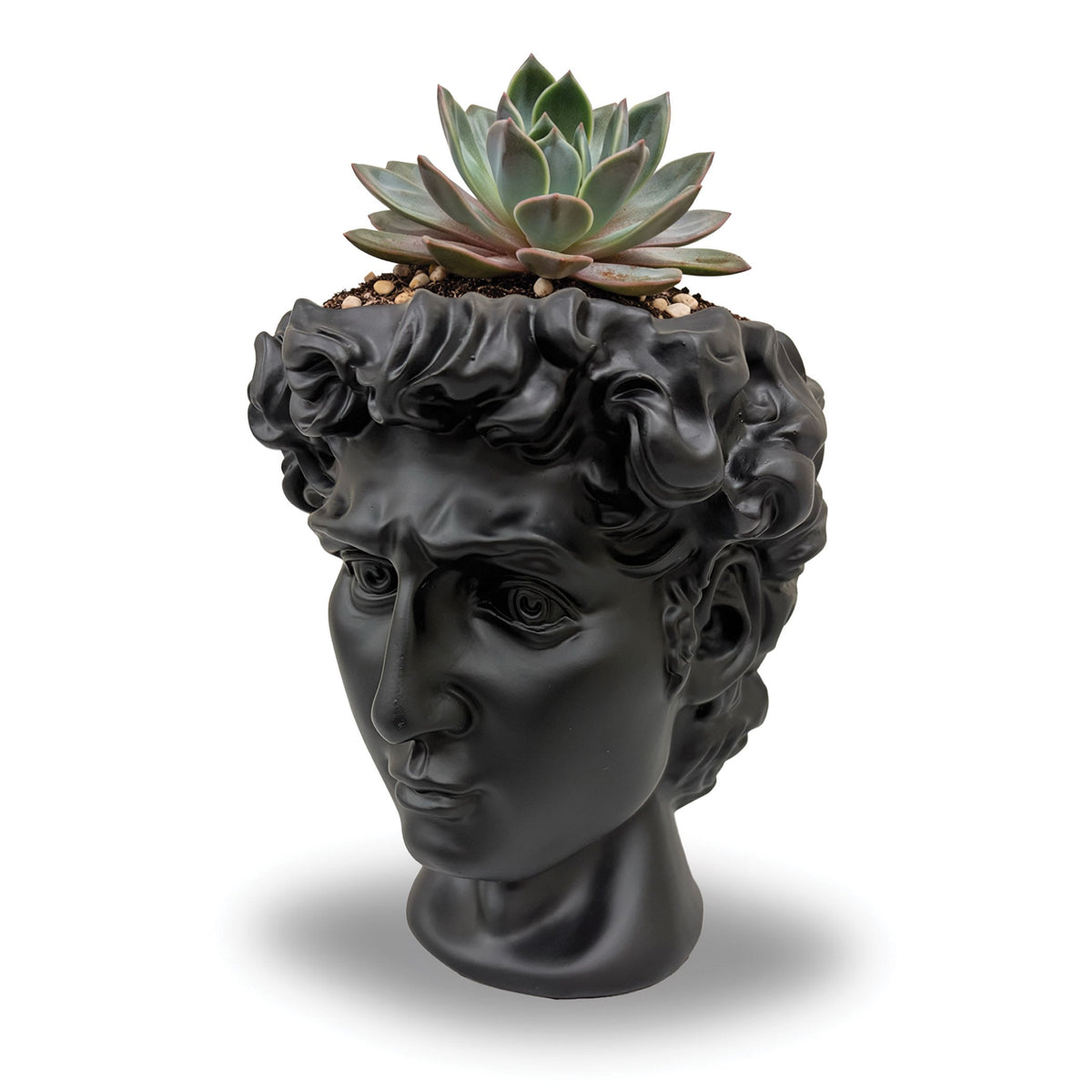 Urban Attitude David Head Resin Planter - Matte Black (Sculptural Plant Pot)