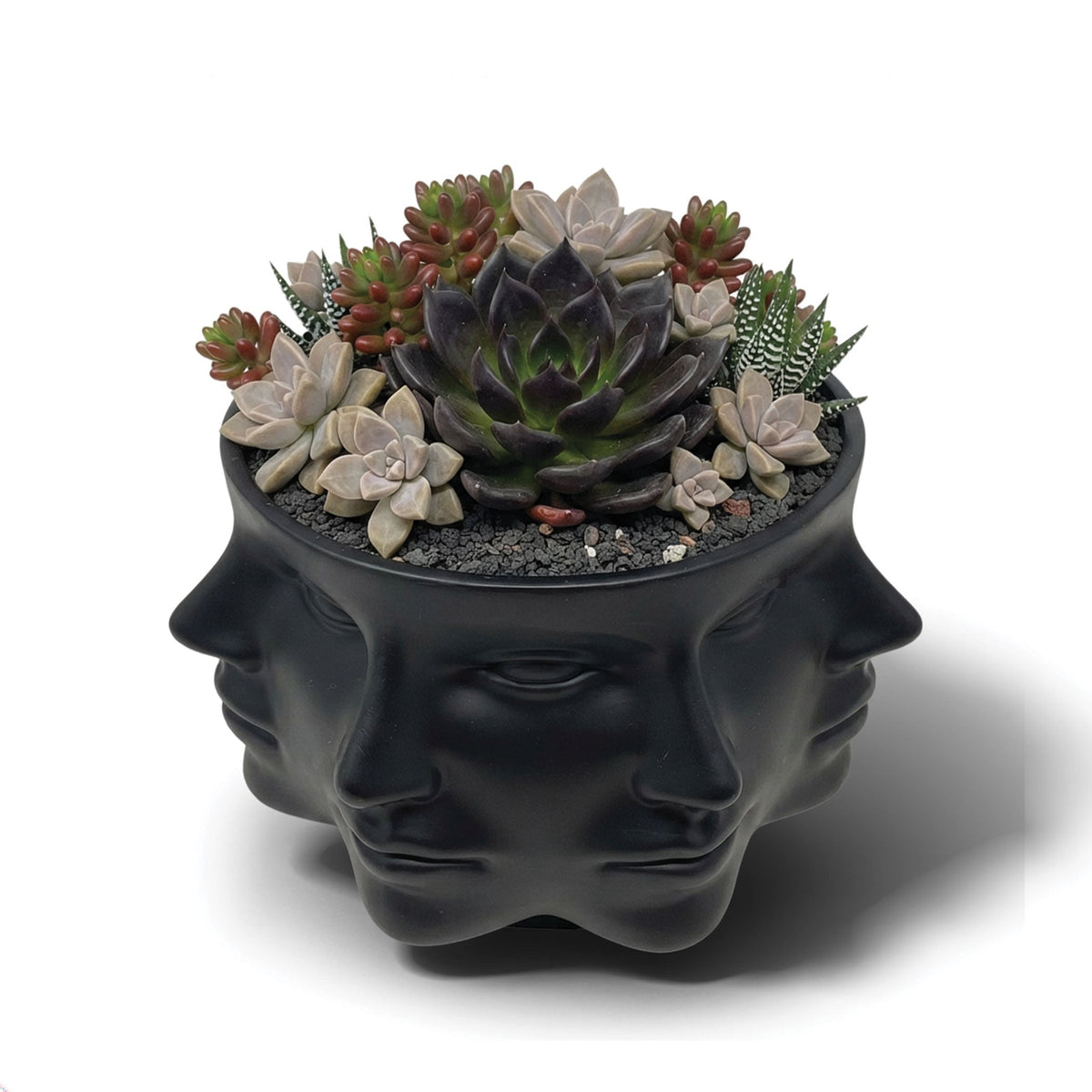 Urban Attitude Classical Face Resin Planter - Matte Black (Sculptural Plant Pot)