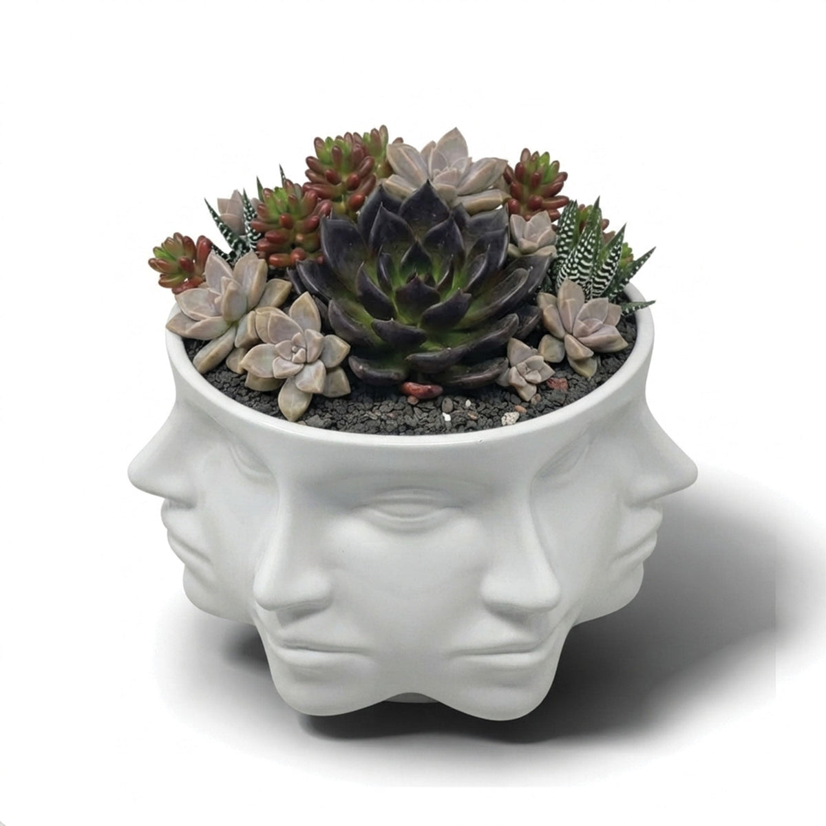 Urban Attitude Classical Face Resin Planter - Matte White (Sculptural Plant Pot)