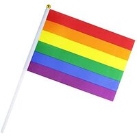 Rainbow Gay Pride Stick Flag Hand Held Mini Flag LGBT Rainbow Flag - 1 Flag