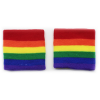 2x RAINBOW WRISTBANDS Gay Lesbian Pride LGBT Mardi Gras Party