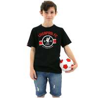 Liverpool FC Youth Boys Liverbird Crew T Shirt Top Tee Soccer LFC - Black