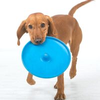 Dog Puppy Fetch Training Toy Flying Disc Frisbee Pet - Assorted Colours