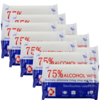 10 Packs of 10 JIAHNE 75% ALCOHOL WIPES Portable Wound Cleansing Skin Sanitiser
