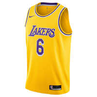 Nike Los Angeles Lakers LeBron James 2021/22 Basketball Icon Jersey Gold 