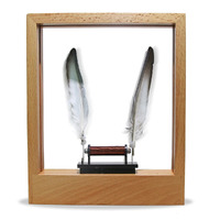 Slow Motion Picture LED Frame Optical Illusion Sculpture Feather Home Decor