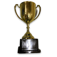 TROPHY CUP Sport Award Football School Table Tennis Gold Winner  Achievement