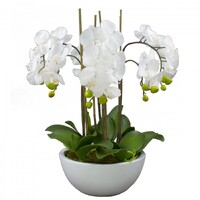 55cm Faux Phalaenopsis Orchid in Pot Artificial Plant Flower Home Office Decor