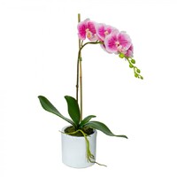 48cm Potted Phalaenopsis Orchid in Pot Fake False Artificial Flowers  - Mauve