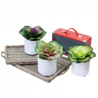 3pcs 19cm Assorted Cabbage Rose in Pot Artificial Plant Flower
