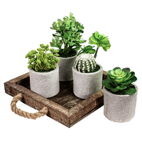 Assorted Succulents in Pot Set of 4pcs Artificial Green Plant Flower Cactus
