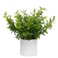 23cm Parsley Fern in Pot Artificial Plant Green Faux Fake Home Decor