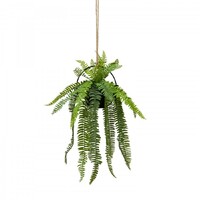 60cm Mixed Fern in Circle Frame Hanger (with Rope) Artificial Plant Faux Decor