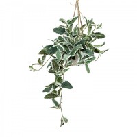 86cm Tricolor Sage in Hanging Planter (with Rope) Artificial Plant Green Flower