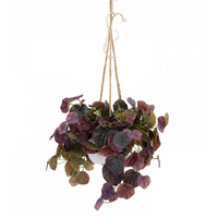 72cm Peperomia Caperata in Hanging Planter (with Rope) Artificial Flower Plant Fake