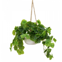 72cm Peperomia Caperata Hanging Planter (with Rope) Faux Artificial Plant Flower Green