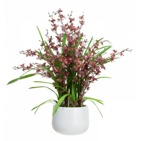 78cm Faux Dancing Lady Orchid Plant in Pot Artificial Flower Plant Decor - Wine