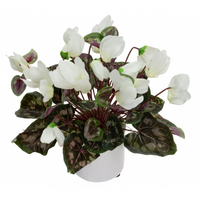 34cm Potted Faux Cyclamen Plant in Pot Artificial Flower Plant Decor - Cream