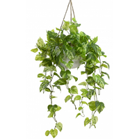104cm Faux Marble Pothos Bush in Hanging Planter Tabletop and/or Hanging Display
