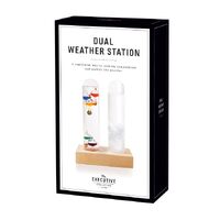 The Executive Collection Dual Weather Station Clear