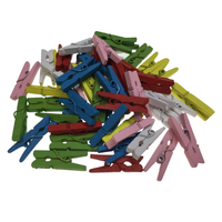 100pcs MINI WOODEN PEGS Natural Craft Baby Shower Clothes Pin Scrapbook 25mm