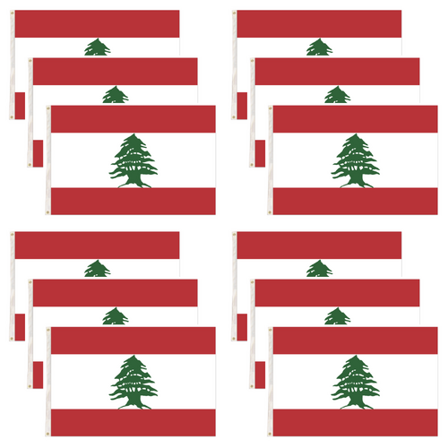 12x Lebanon Lebanese Country Flag Heavy Duty Outdoor - 150cm x 90cm Bulk