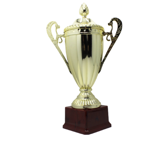 Large Classic Gold Trophy Cup Novelty Winners Prize Solid Achievement Award