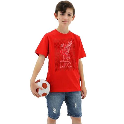 Liverpool FC Youth Boys Liverbird Crew T Shirt Top Tee Soccer LFC - Red