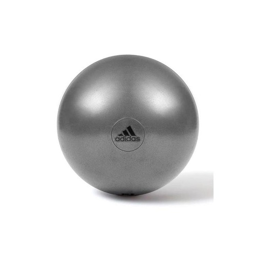 Adidas Gym Ball with Pump Exercise Yoga Fitness Pilates Birthing Training 65cm
