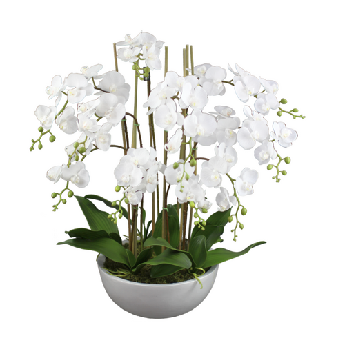 75cm Large Faux Phal Orchid with Ceramic Pot Artificial Plant Flower Tree Fake