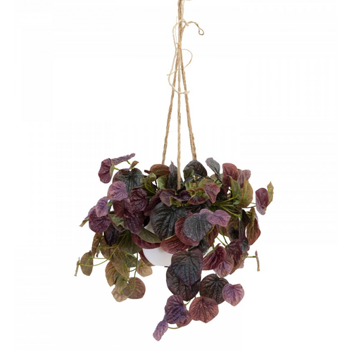 72cm Peperomia Caperata in Hanging Planter (with Rope) Artificial Flower Plant Fake