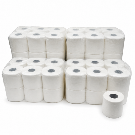 48 Rolls 2 Ply White Toilet Paper Bulk Pack - 400 Sheets per Roll (4 Packs of 12, 1 Bag)