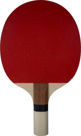 SUNFLEX Prime S10 Table Tennis Bat for Beginners (Starter Bat)