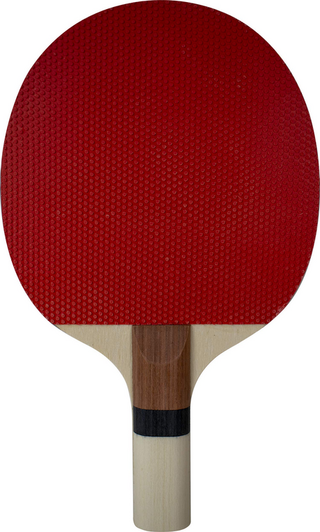 SUNFLEX Prime S10 Table Tennis Bat for Beginners (Starter Bat)