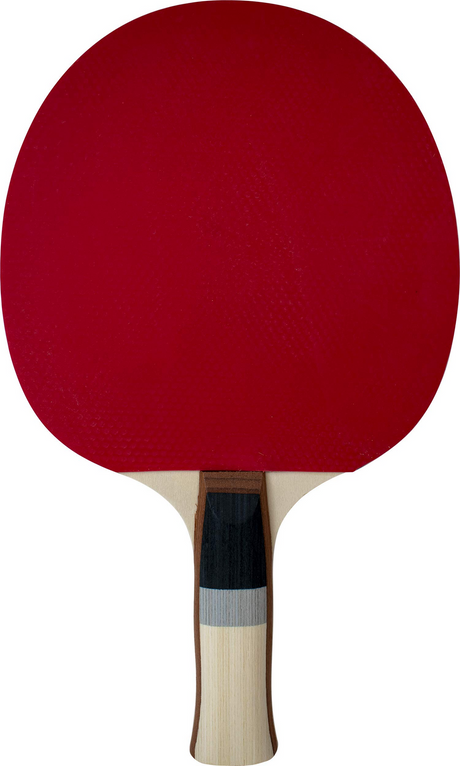 SUNFLEX Plus A13 Table Tennis Bat for Beginners (Starter Bat)