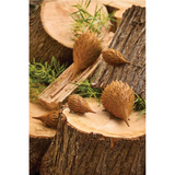 2pcs Garden Metal 13cm & 25cm Echidna Animal Sculpture Decor Set