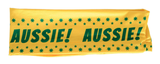 Australia Flag Headband Tennis Cricket Australia Day Aussie Costume in Green/Gold