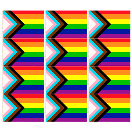 12x Rainbow Progress Gay Pride Flag Bulk Pack - Deluxe LBBTQ+ Banner (150x90cm)