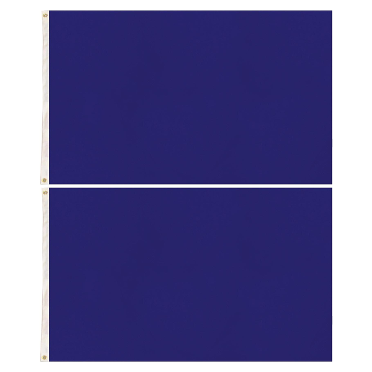 2x Plain Blue Flag Pack - School Colours/Houses - Sports Days (90x150cm)