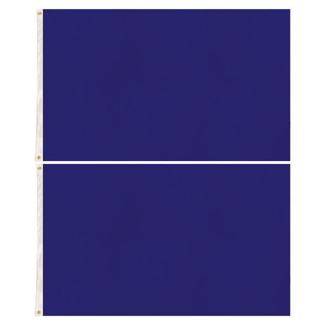 2x Plain Blue Flag Pack - School Colours/Houses - Sports Days (90x150cm)