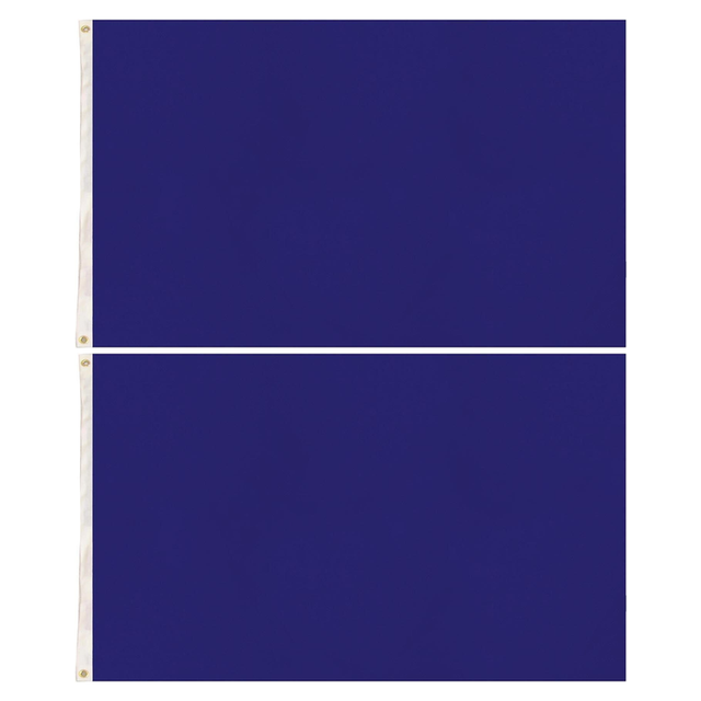 2x Plain Blue Flag Pack - School Colours/Houses - Sports Days (90x150cm)