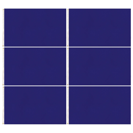 6x Plain Blue Flag Bulk Pack - School Colours/Houses - Sports Days (90x150cm)
