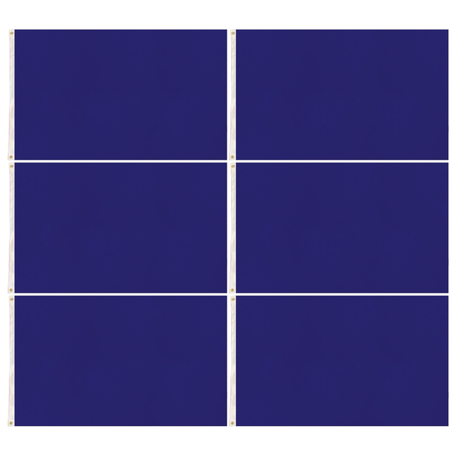 6x Plain Blue Flag Bulk Pack - School Colours/Houses - Sports Days (90x150cm)