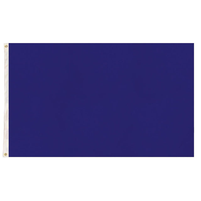 Plain Flag for School Colours Sports Day & Other Uses - Blue (90x150cm)