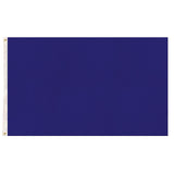 Plain Flag for School Colours Sports Day & Other Uses - Blue (90x150cm)