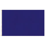 2x Plain Blue Flag Pack - School Colours/Houses - Sports Days (90x150cm)