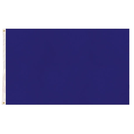 2x Plain Blue Flag Pack - School Colours/Houses - Sports Days (90x150cm)