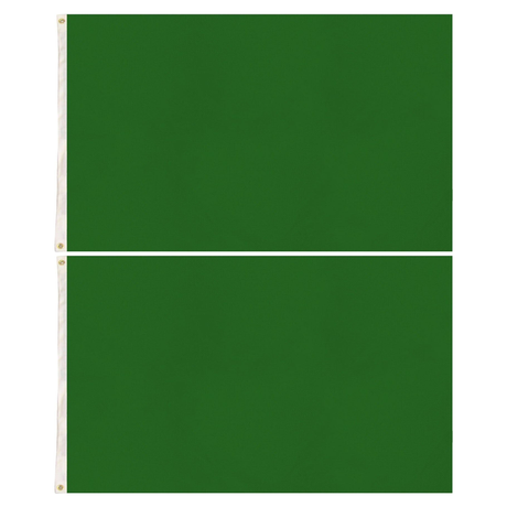 2x Plain Green Flag Pack - School Colours/Houses - Sports Days (90x150cm)